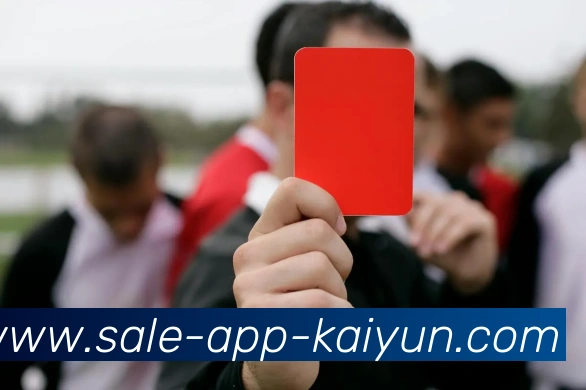 App Interface Preview