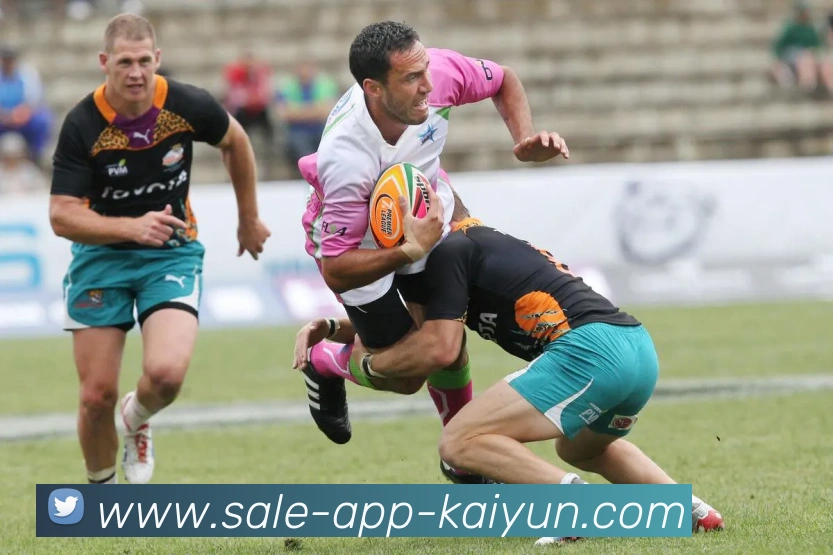 开云appAPP 封面图